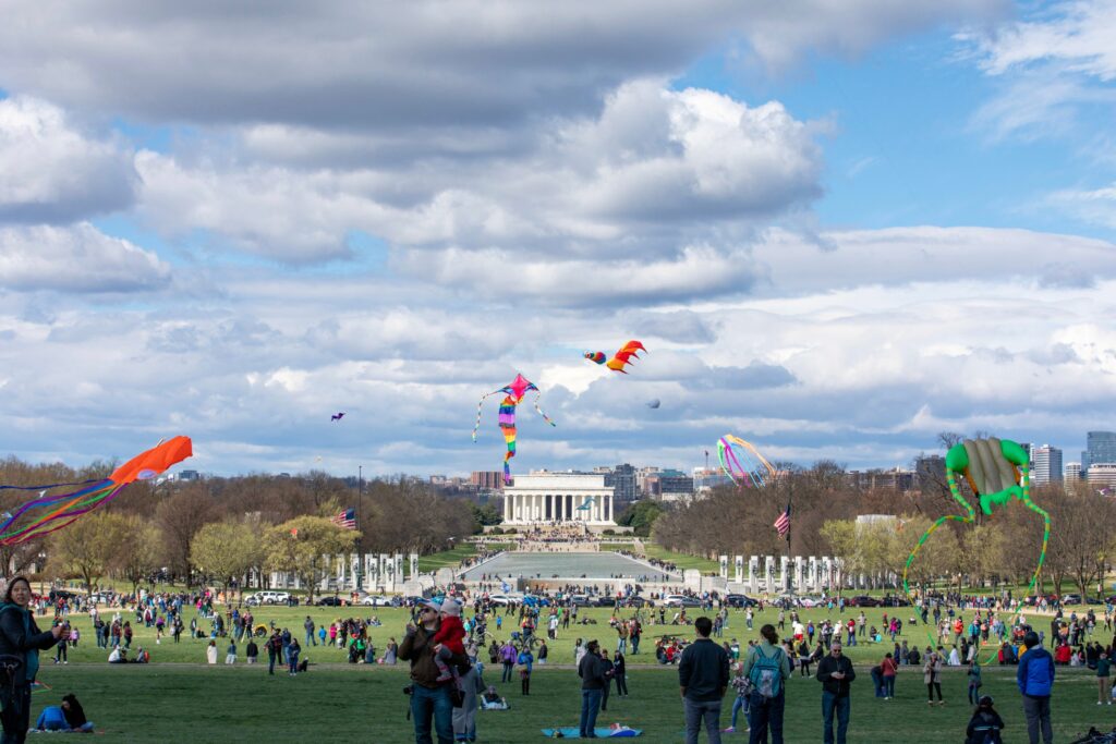 image 127 Lineup 2026