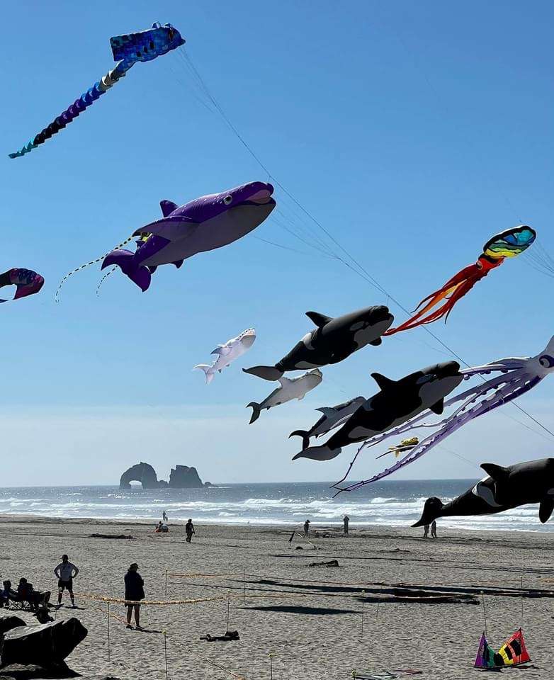 image 129 Lineup 2026