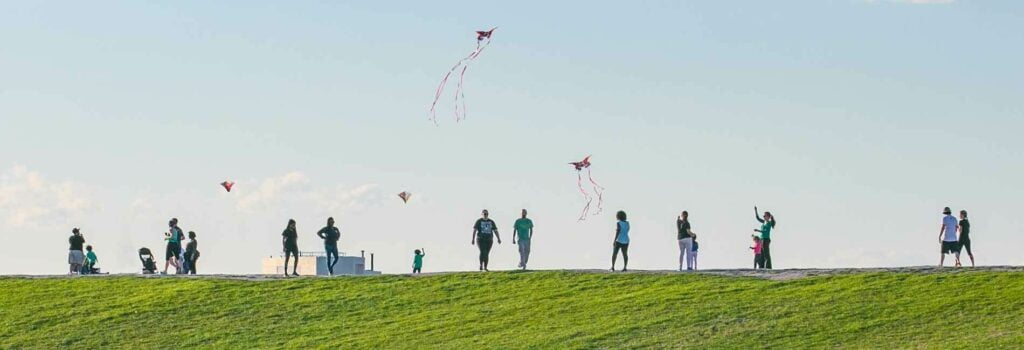 image 130 Lineup 2026