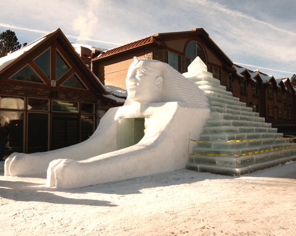 image 156 Lineup 2026