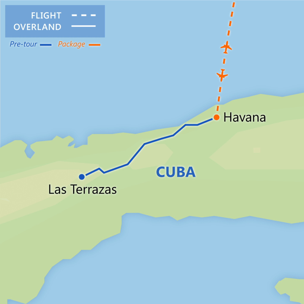 image 159 Lineup 2026