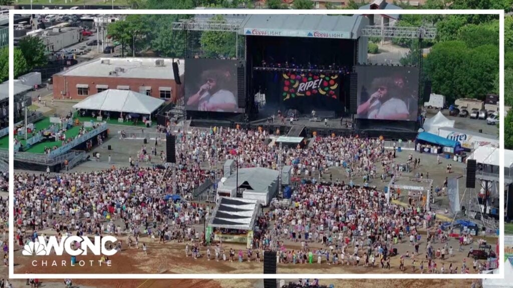 image 175 Lineup 2026