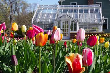 image 180 Lineup 2026