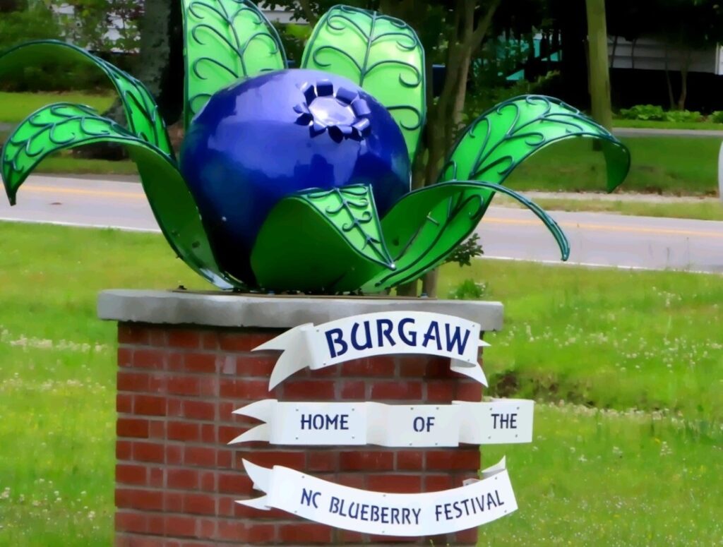 image 181 Lineup 2026