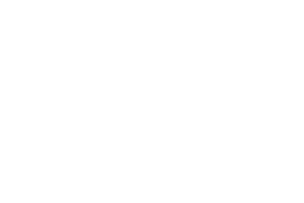 image 181 Lineup 2026