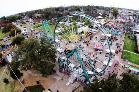 image 183 Lineup 2026