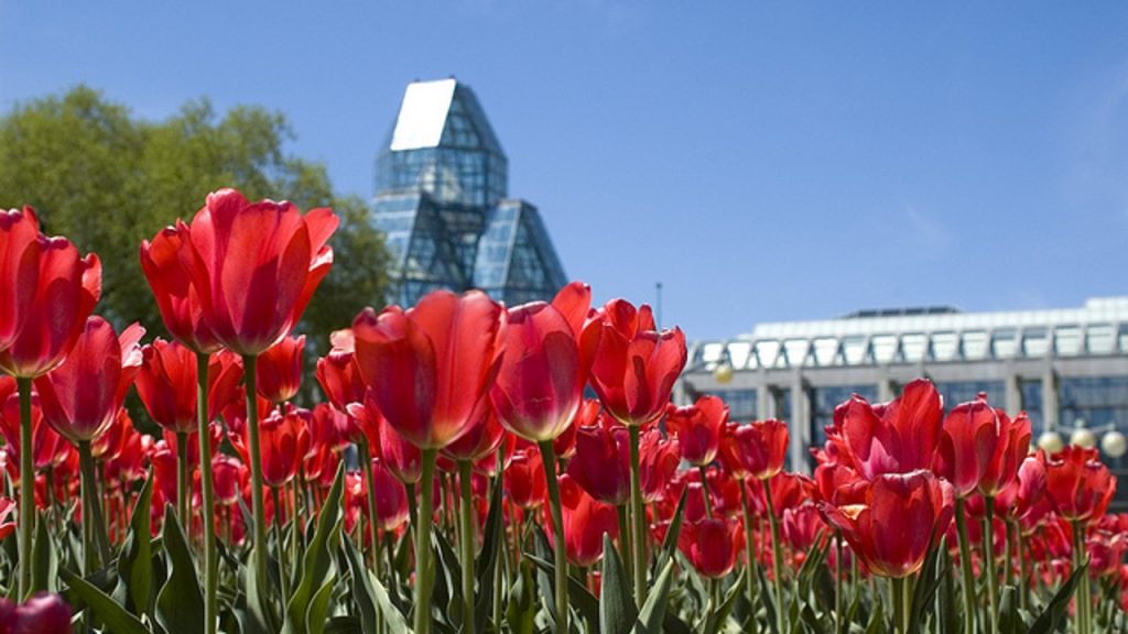 image 194 Lineup 2026