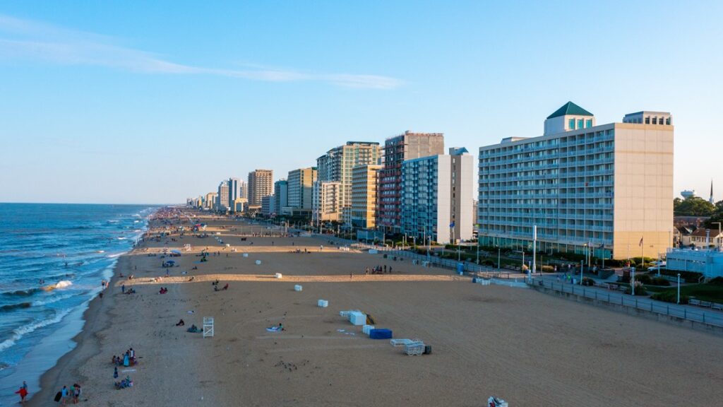 image 207 Lineup 2026