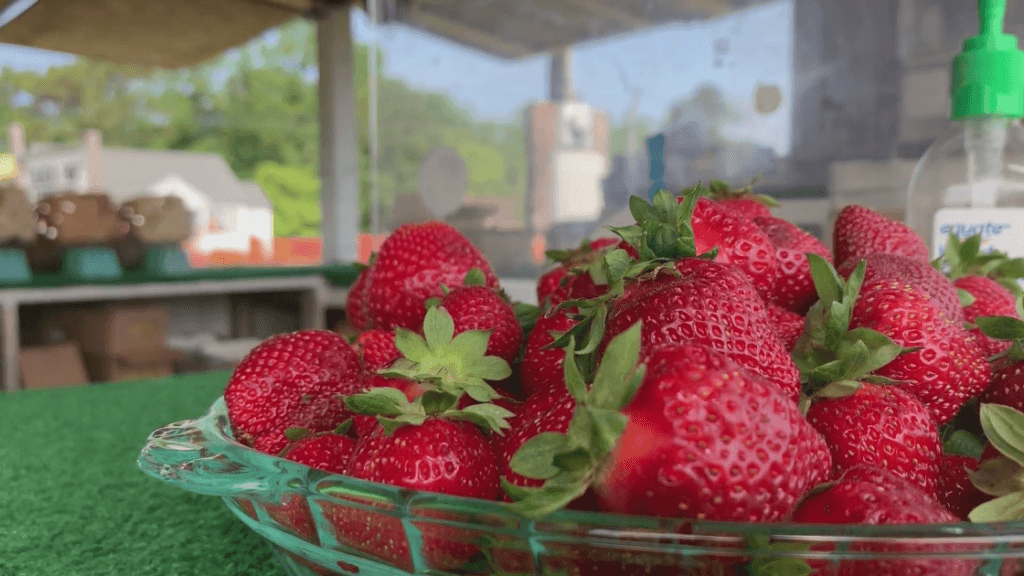 image 223 Lineup 2026