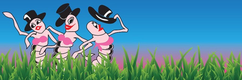 image 250 Lineup 2026