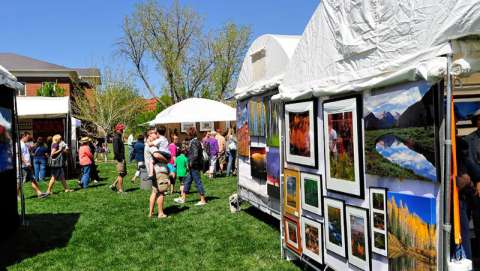 image 259 Lineup 2026