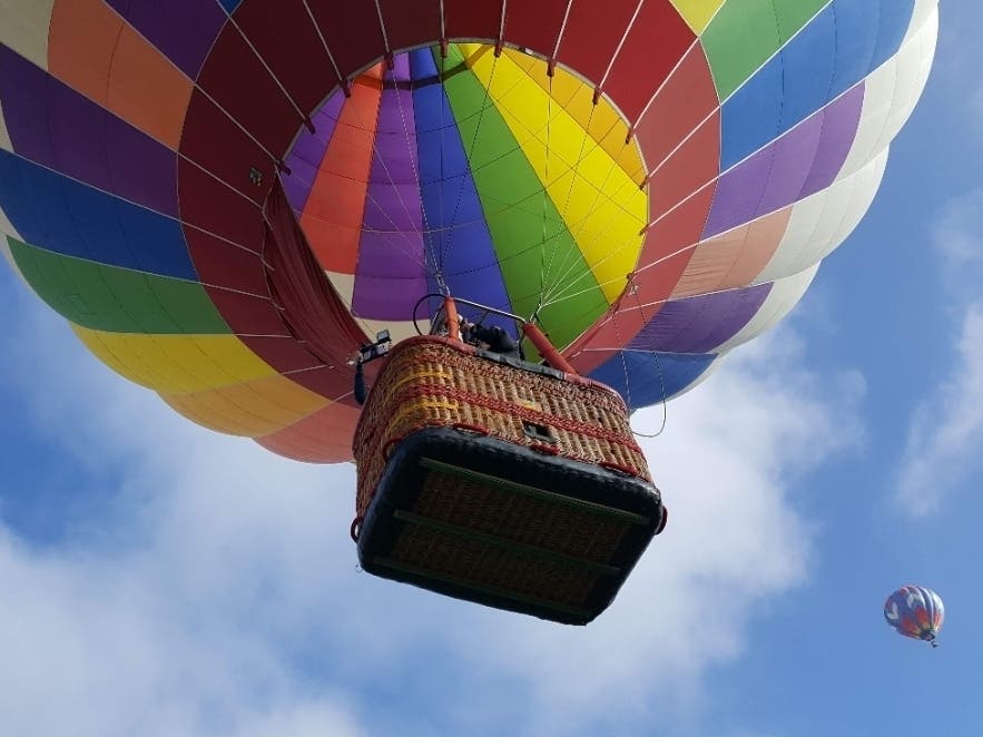 image 278 Lineup 2026