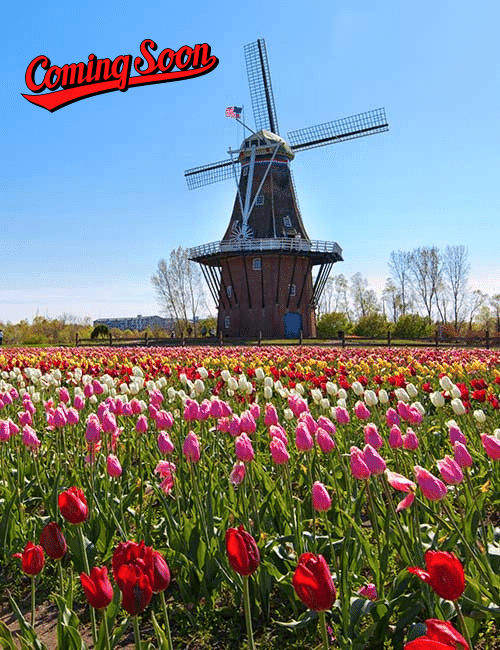 image 28 Lineup 2026