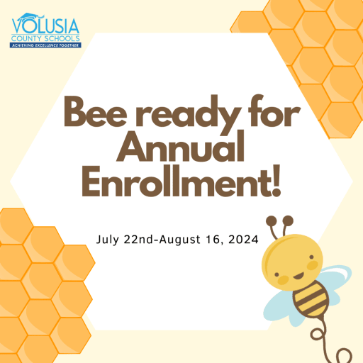 image 29 Lineup 2026