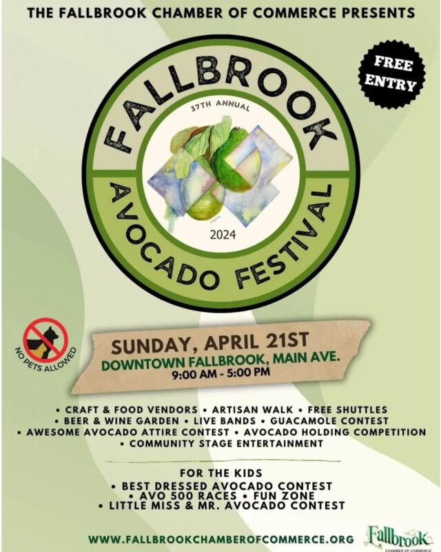 image 355 Lineup 2026