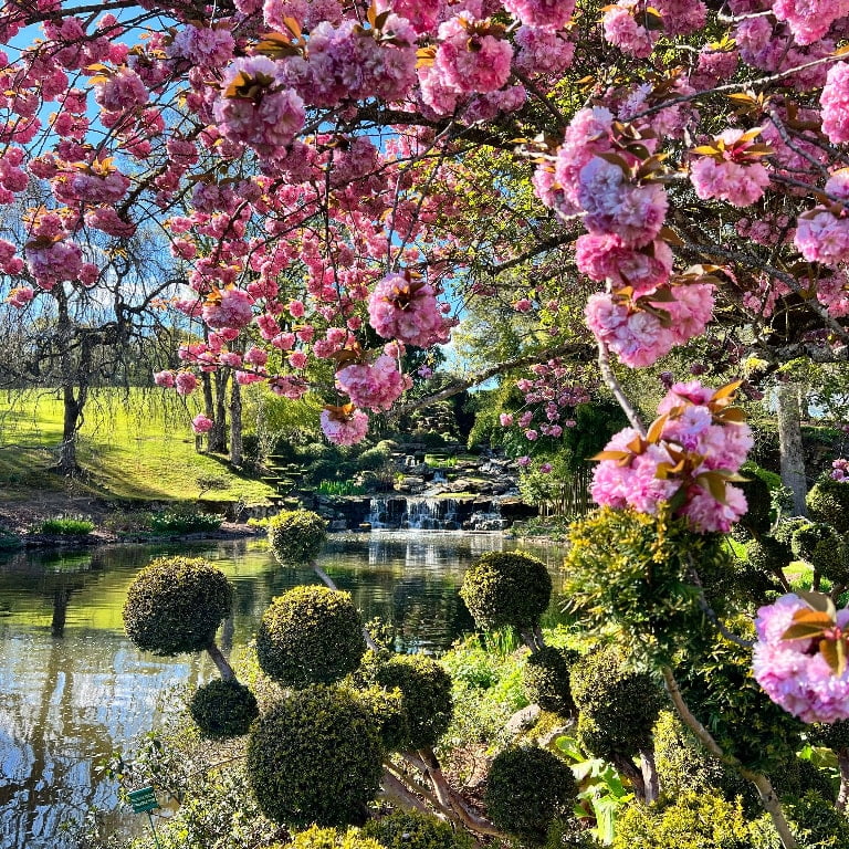 image 410 Lineup 2026