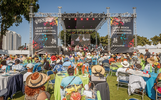 image 43 Lineup 2026