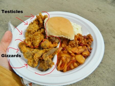 image 437 Lineup 2026