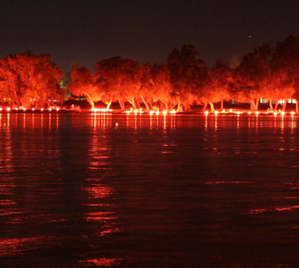 image 73 Lineup 2026