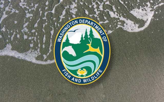 image 765 Lineup 2026