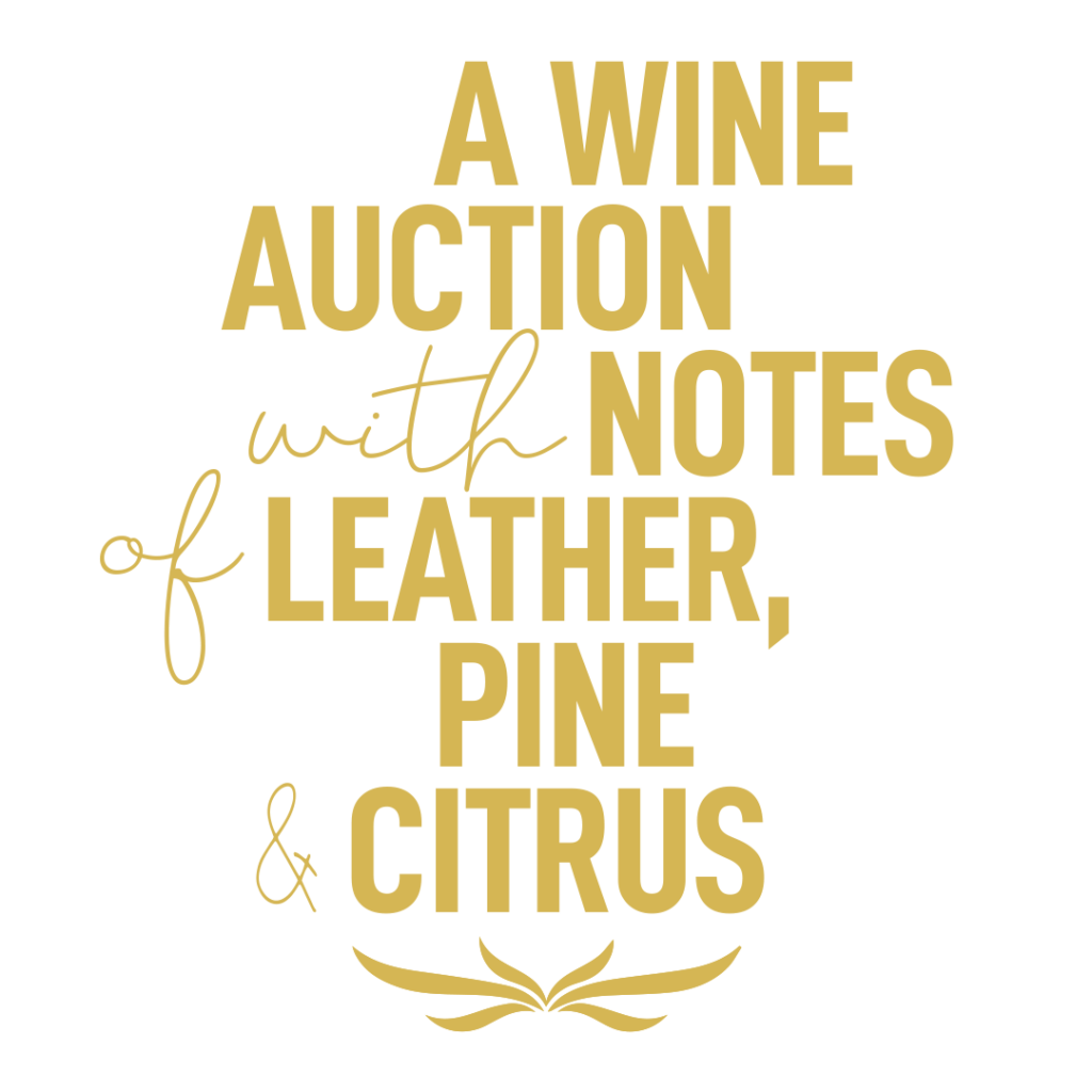 image 78 Lineup 2026