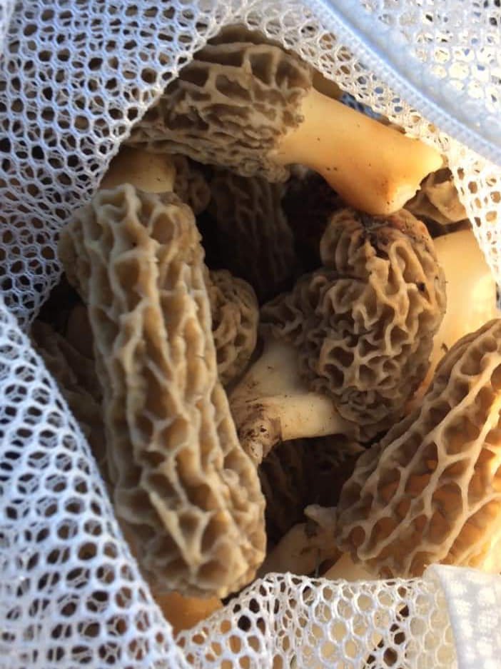 image 793 Lineup 2026