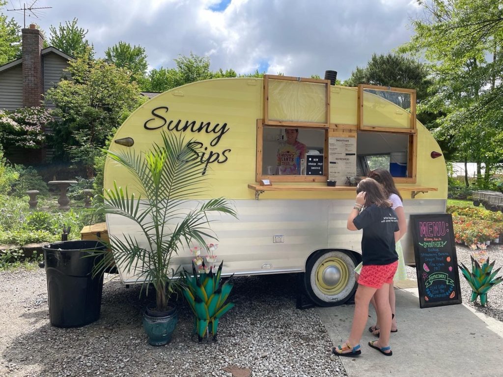 image 816 Lineup 2026