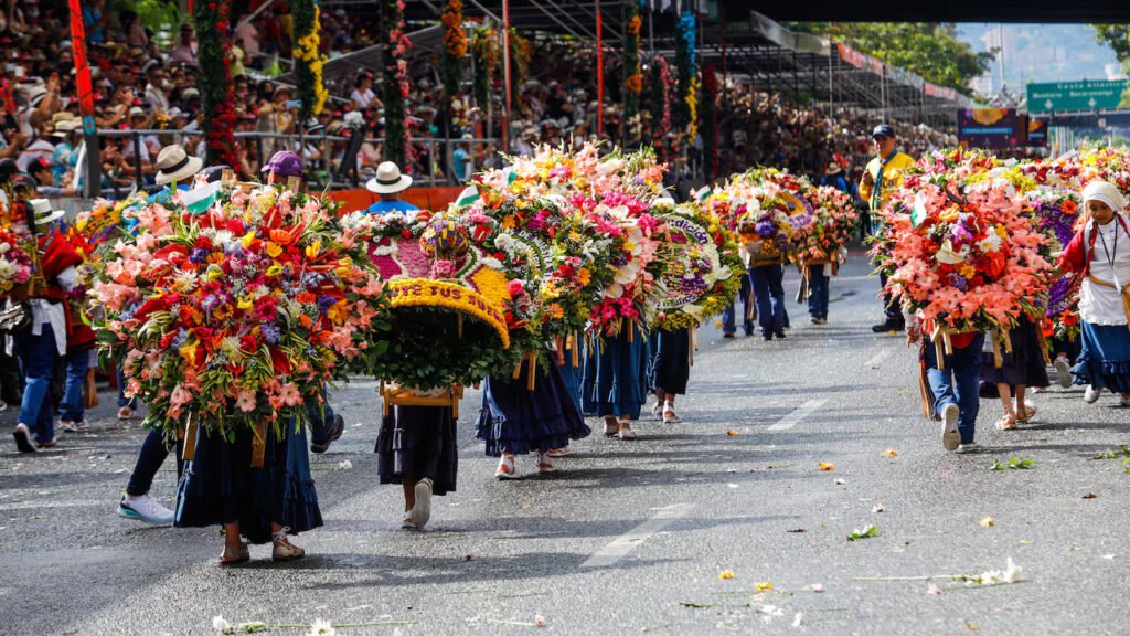 image 817 Lineup 2026