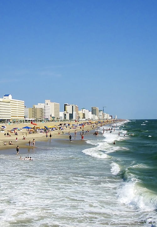 image 872 Lineup 2026