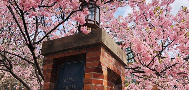 image 89 Lineup 2026