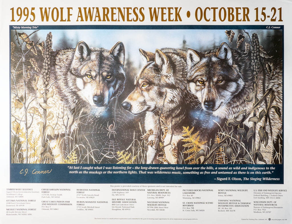 image 896 Lineup 2026