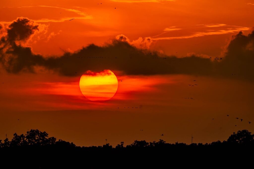 image 903 Lineup 2026