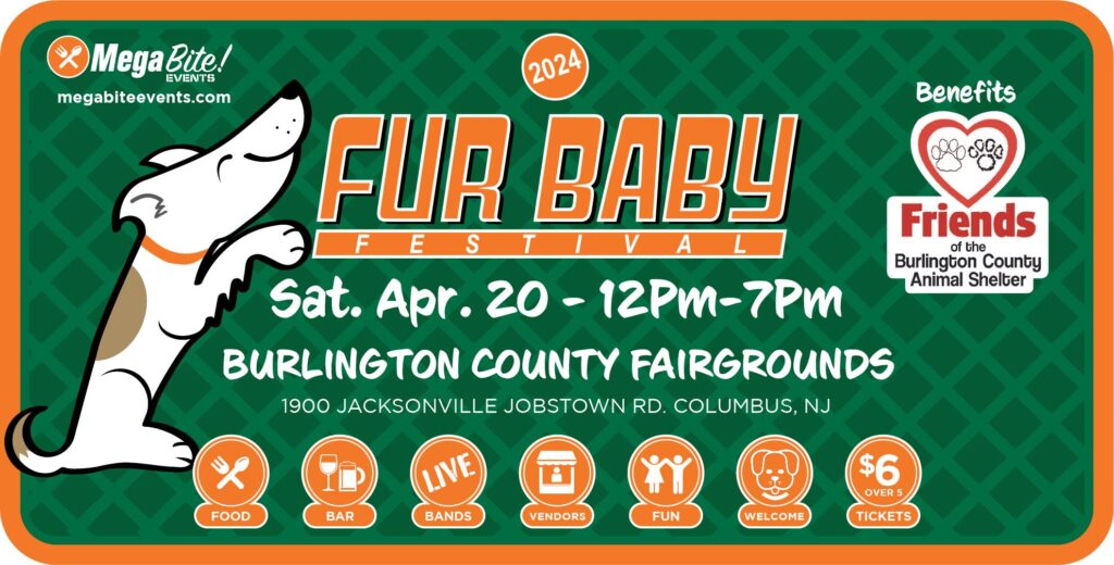 image 91 Lineup 2026