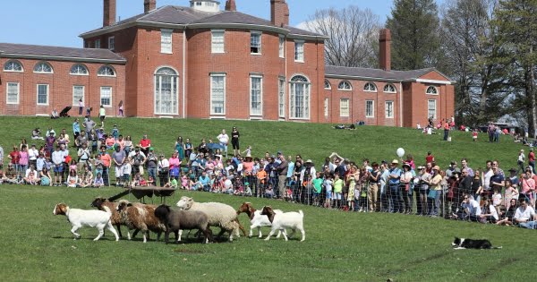 image 98 Lineup 2026