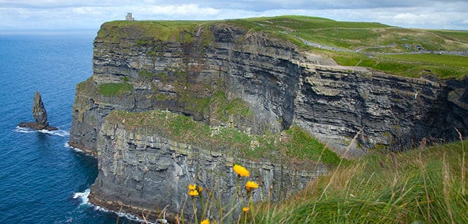 image 983 Lineup 2026