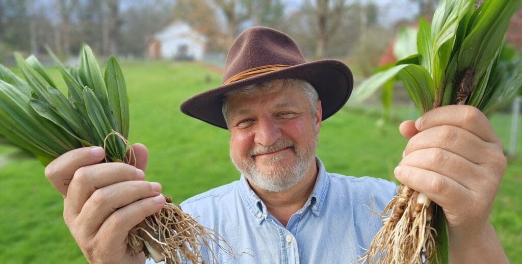 image 994 Lineup 2026