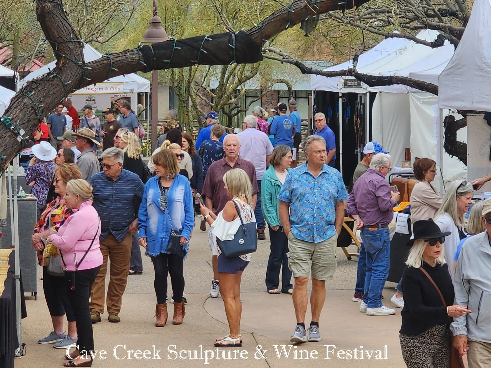 Exploring Creativity: Cave Creek Art Festival 2025