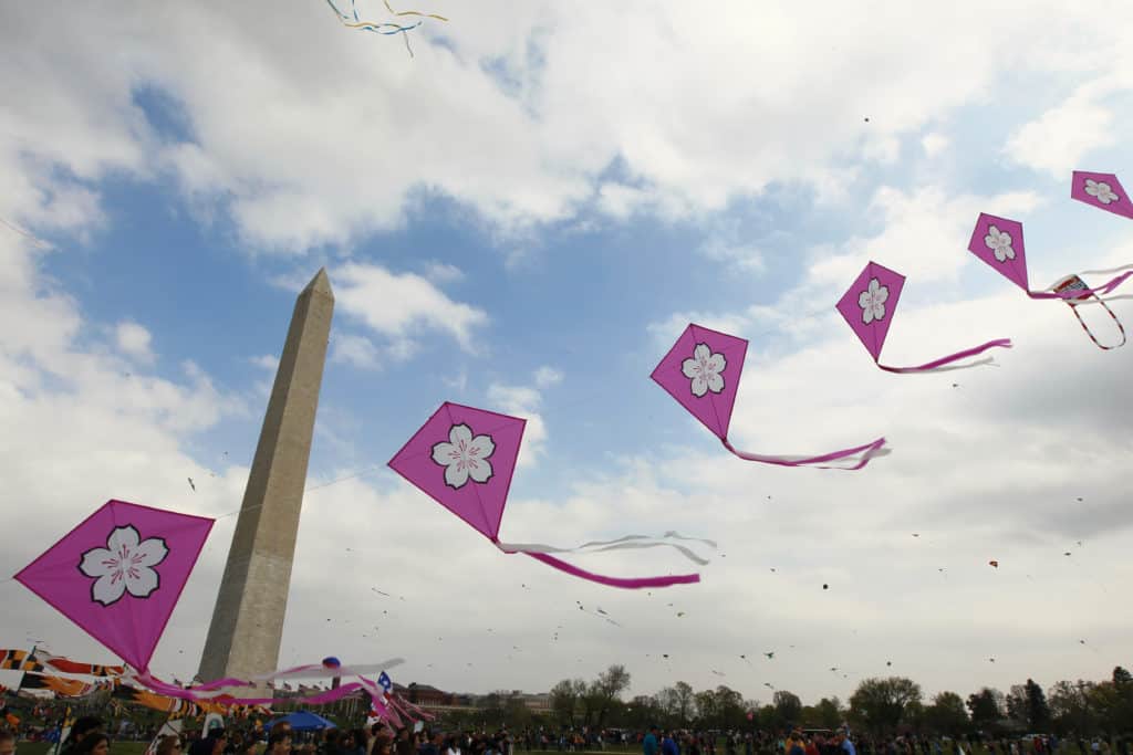 image 23 Lineup 2026