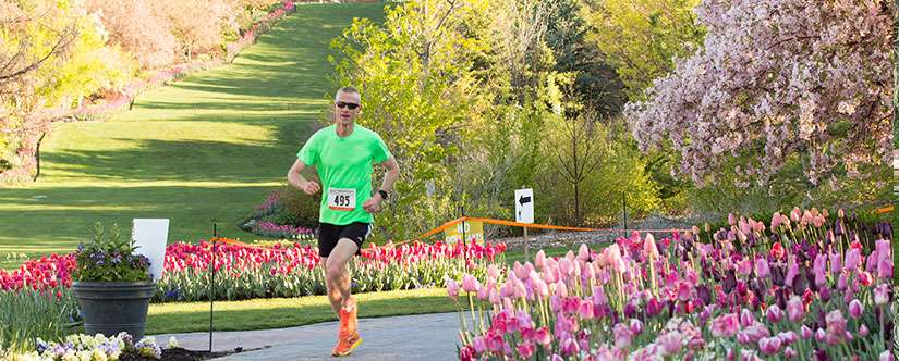 image 61 Lineup 2026