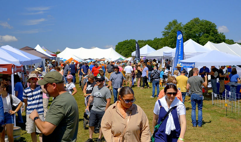 image 64 Lineup 2026