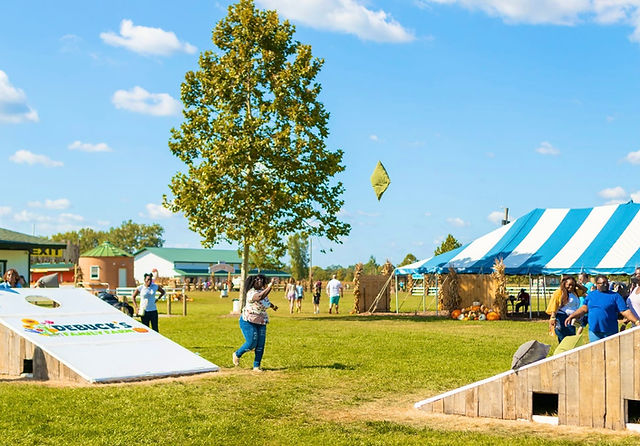 image 100 Lineup 2026