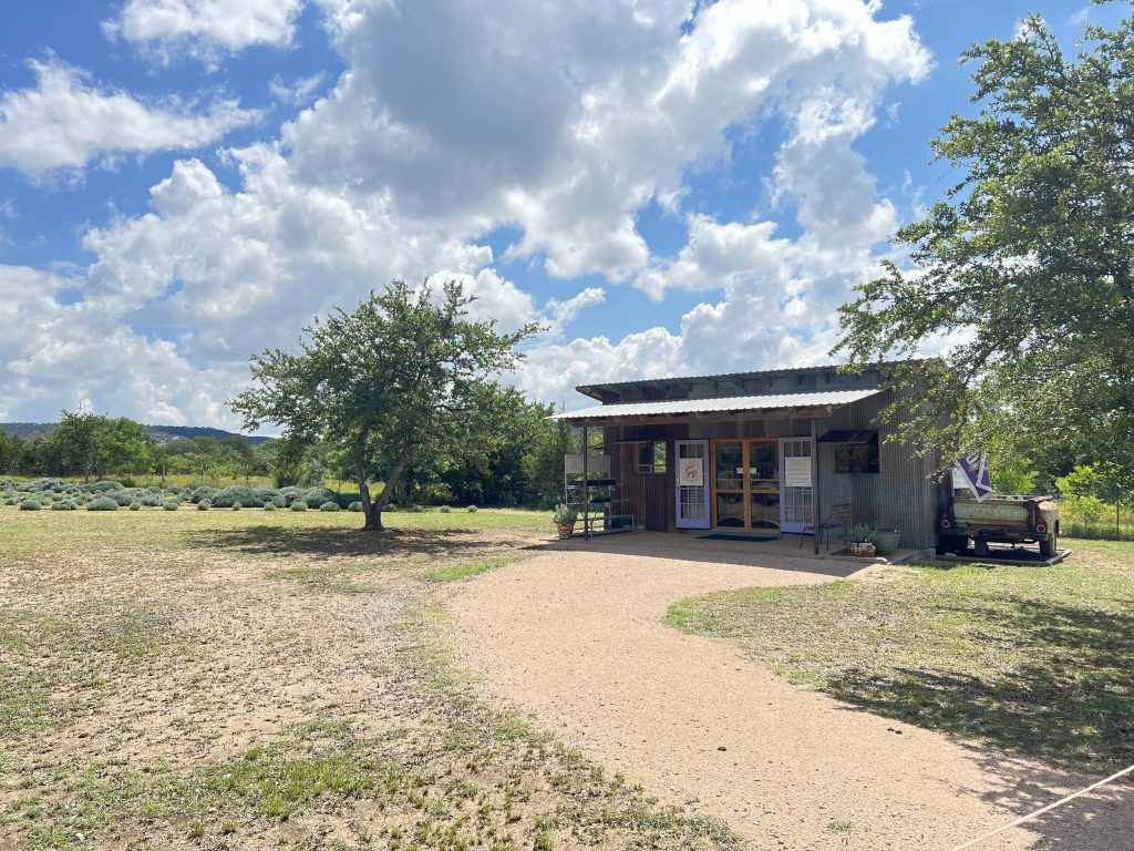 image 112 Lineup 2026