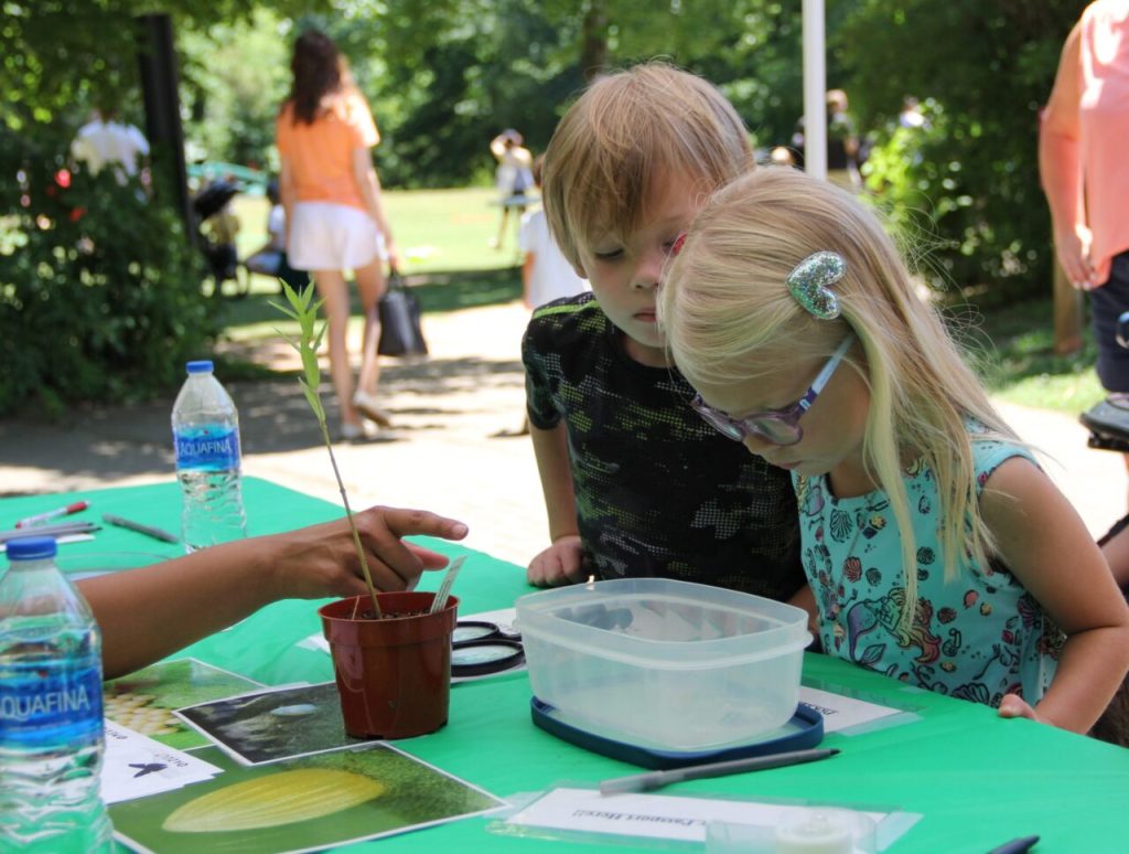 image 137 Lineup 2026