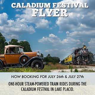 image 139 Lineup 2026