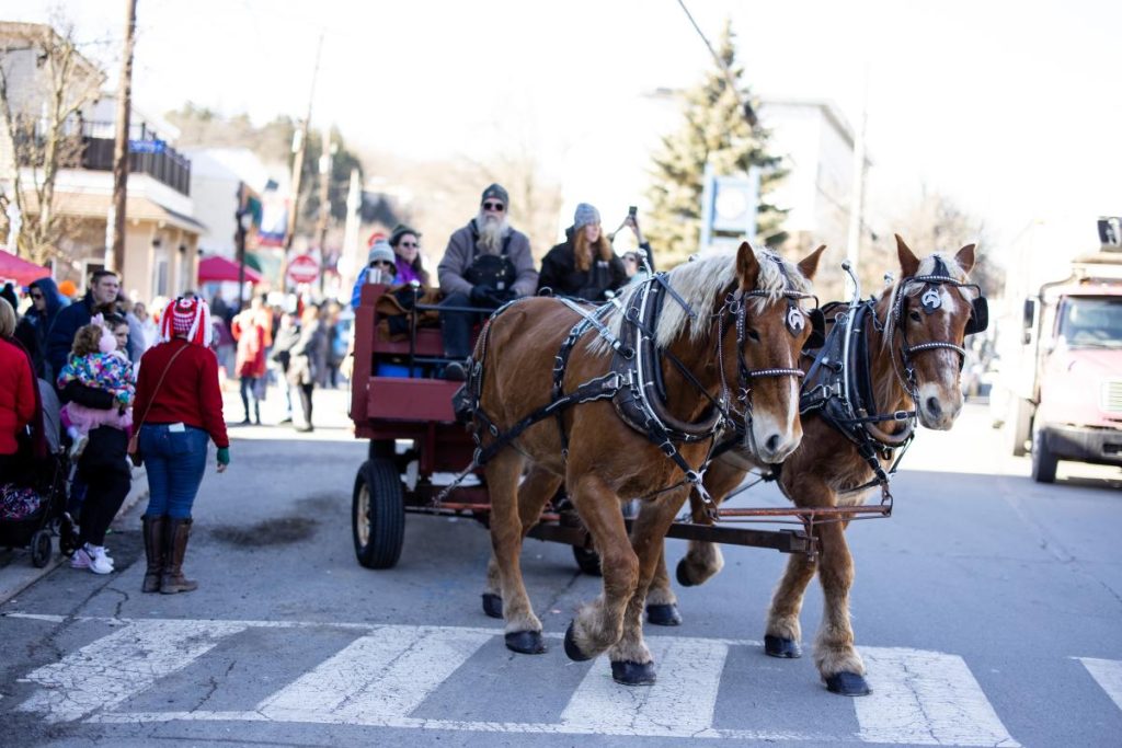 image 171 Lineup 2026