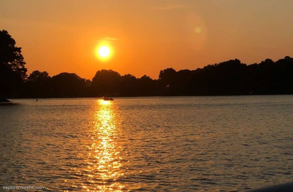 image 193 Lineup 2026