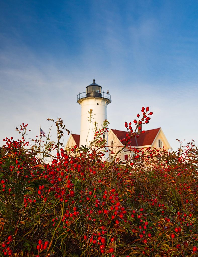 image 35 Lineup 2026