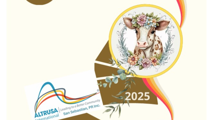 image 54 Lineup 2026