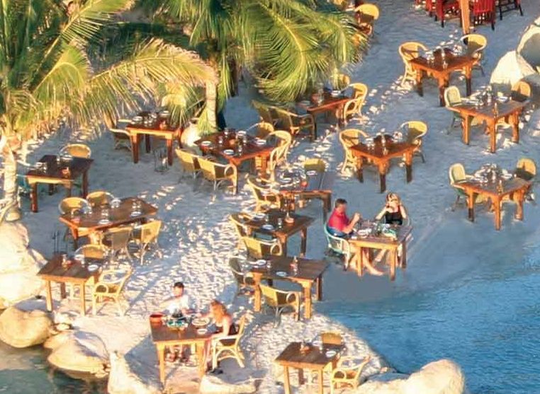 image 72 Lineup 2026