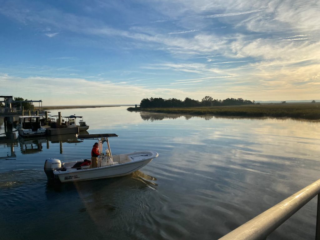 image 80 Lineup 2026